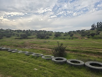 Imagen 4