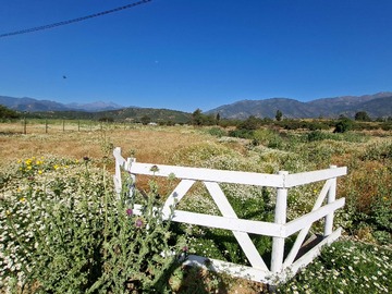 Venta / Terreno / Limache