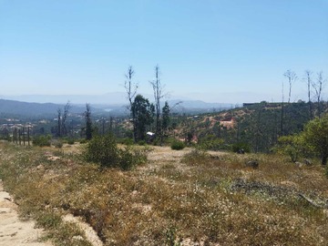 Venta / Terreno / Limache