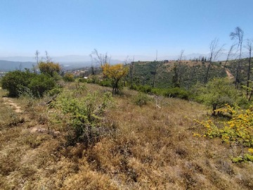 Venta / Terreno / Limache