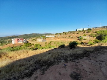 Imagen 16