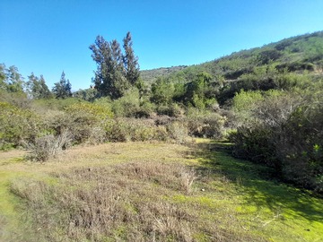 Venta / Terreno / Limache