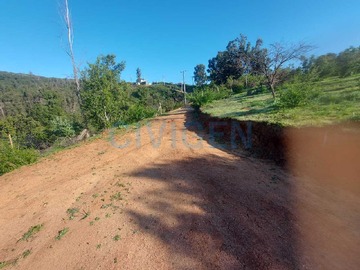 Imagen 8