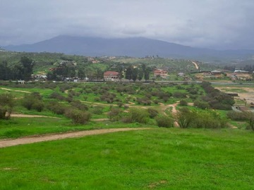 Imagen 10
