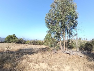 Venta / Terreno / Limache