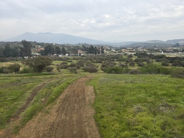 Imagen 6
