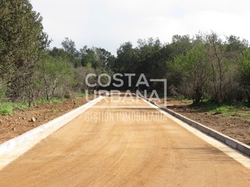 Imagen 7