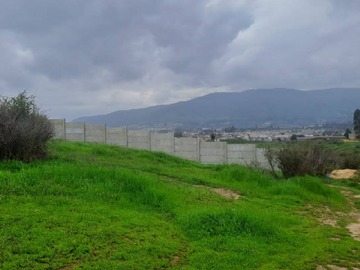 Imagen 7