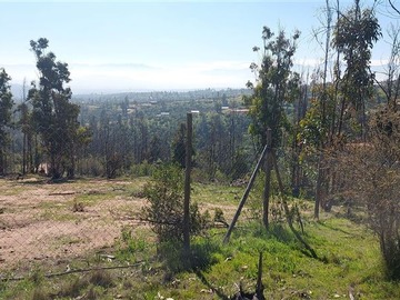 Imagen 15