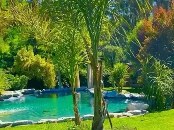Imagen 26