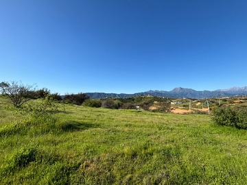 Venta / Terreno / Limache