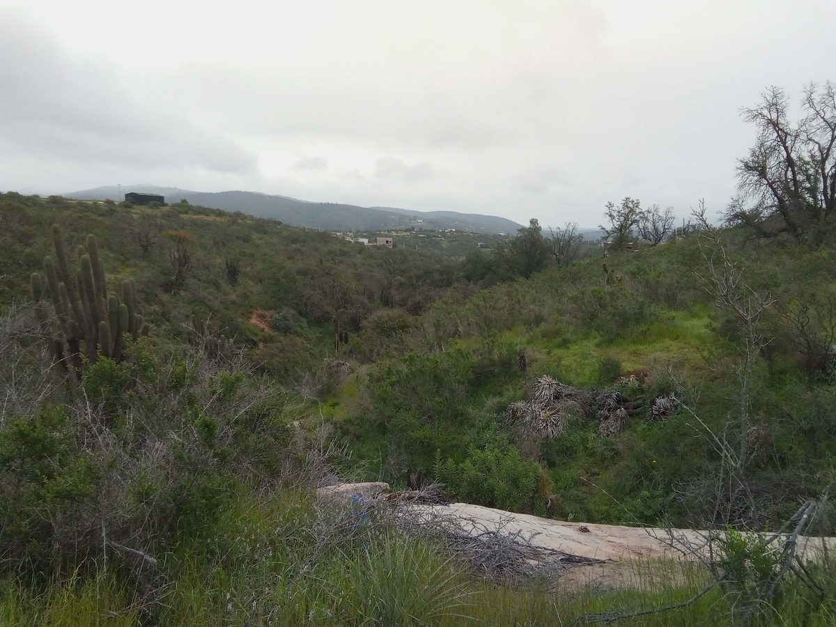 vista desde el terreno