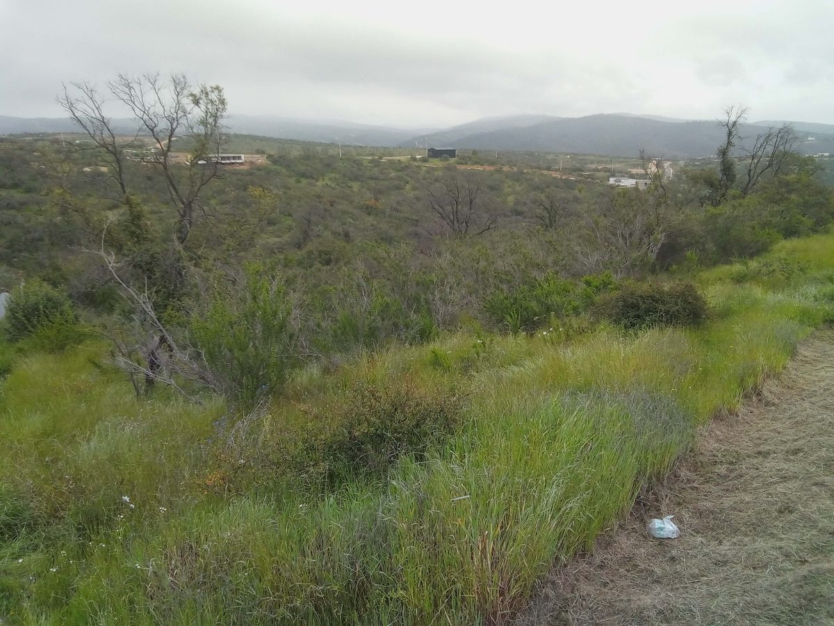 Vista desde el terreno