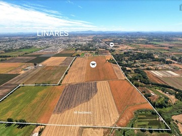 Venta / Terreno / Linares