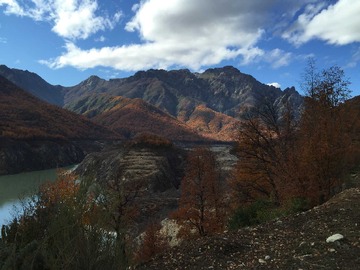 Venta / Terreno / Linares