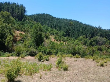 Venta / Terreno / Linares