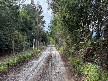 Venta / Terreno / Linares