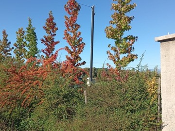 Venta / Terreno / Linares