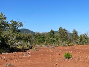 Venta / Terreno / Linares