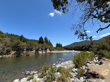 Venta / Terreno / Linares