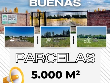 Venta / Terreno / Linares