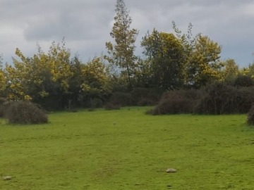 Venta / Terreno / Linares