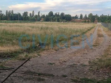 Venta / Terreno / Linares