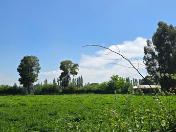Venta / Terreno / Linares