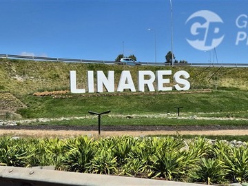 Imagen 13