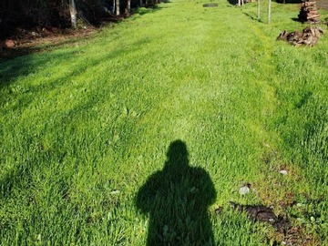 Venta / Terreno / Linares