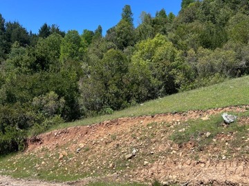 Imagen 11