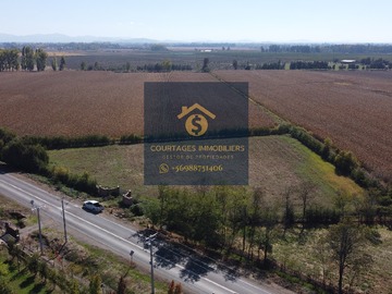 Venta / Terreno / Linares