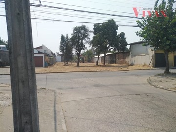 Imagen 8