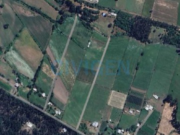 Imagen 13