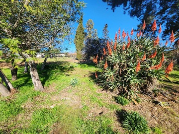 Venta / Terreno / Litueche