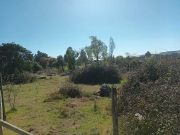 Venta / Terreno / Litueche