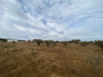 Venta / Terreno / Litueche