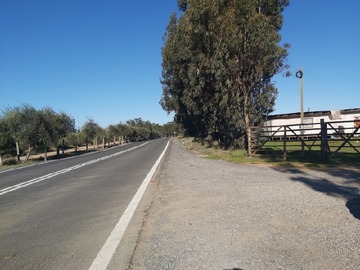 Imagen 12