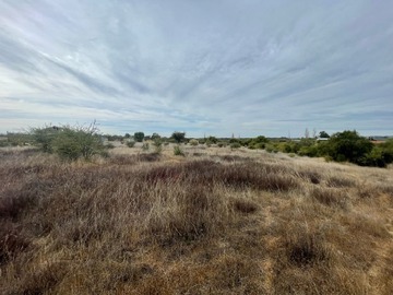 Venta / Terreno / Litueche
