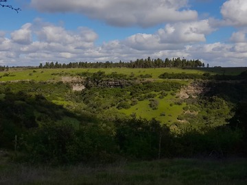 Venta / Terreno / Litueche