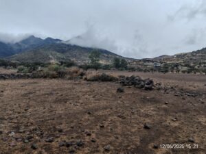 Imagen 6