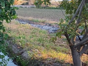 Venta / Terreno / Llaillay