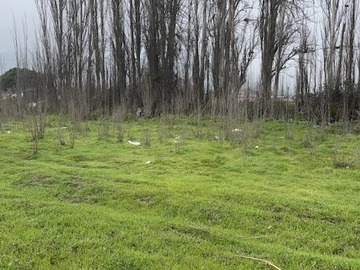 Imagen 9