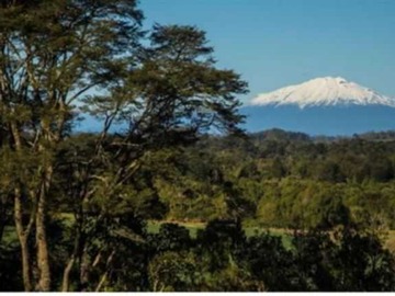 Venta / Terreno / Llanquihue