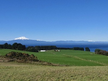 Venta / Terreno / Llanquihue