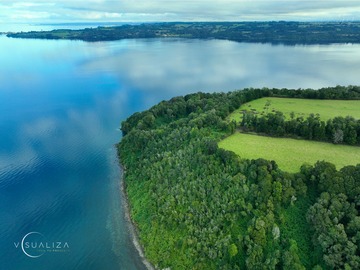 Venta / Terreno / Llanquihue