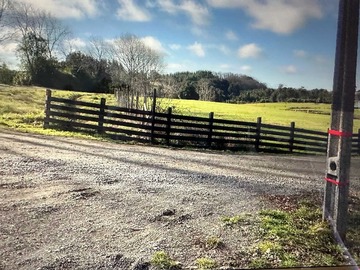 Venta / Terreno / Llanquihue