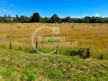 Venta / Terreno / Llanquihue