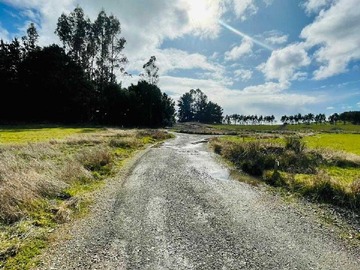 Venta / Terreno / Llanquihue