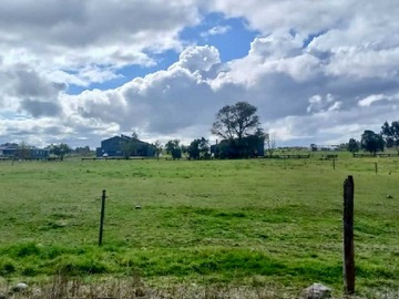 Venta / Terreno / Llanquihue